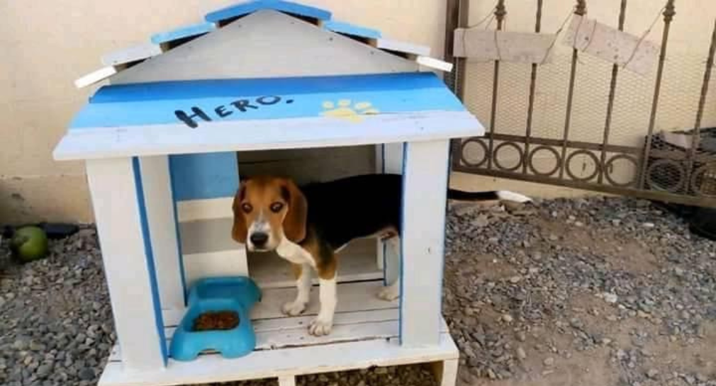 Muebles para mascotas